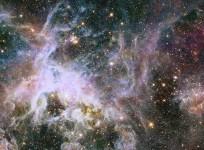 The Tarantula Nebula