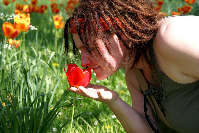 Smell, flower
