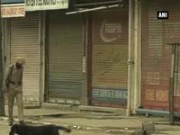 kashmir-shuts-down-to-protest-israeli-airstrikes-on-gaza-army-truck-accident