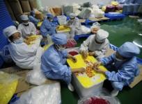 Medicine Factory