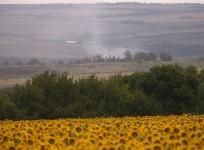 Malaysian Airline MH17 Crash