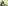 shraddha-kapoor-supports-whispers-touch-the-pickle-campaign