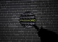 Cyber crime rate to go higher next year
