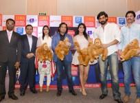 SIIMA awards