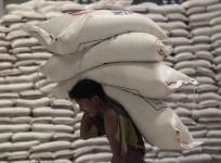 A worker carries sacks of rice