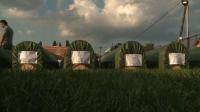 bosnia-buries-284-war-victims-two-decades-on
