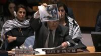 un-security-council-meets-to-debate-over-gaza-crisis