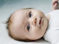 Baby