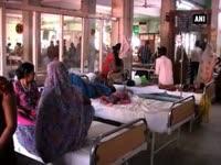 japanese-encephalitis-kills-75-in-up