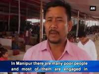 pineapple-cultivation-has-great-potential-in-manipur