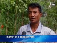 worlds-hottest-chilly-becomes-a-profitable-business-for-farmers-in-manipur