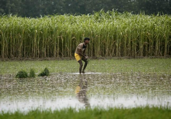 India has pulled 270 million people over the poverty line in past one decade (Representational image) Farmer