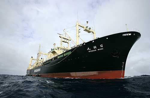 MV Nisshin Maru