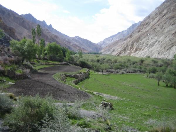 Markha Valley. Markha Valley.