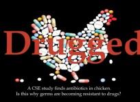 Antibiotic Chicken