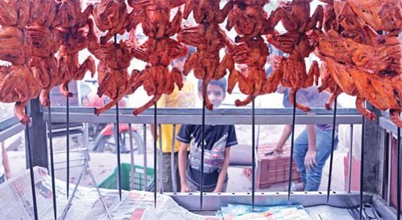 Poultry meat accounts for half of the total meat produced in India Antibiotic Chicken