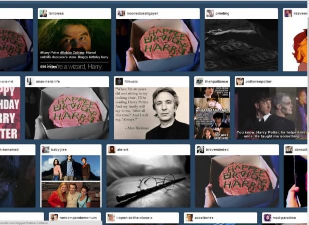 Harry Potter fandom Harry Potter Fandom