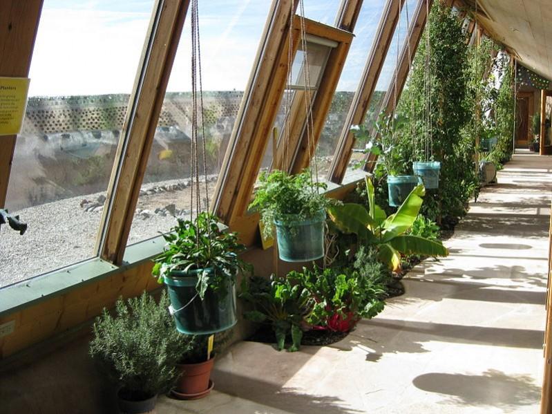 Interior green house of an earthship Sustainable home