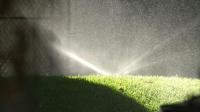 cash-incentives-to-ditch-water-thirsty-lawns-in-california