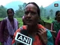 uttarakhand-employs-more-women-in-tea-garden