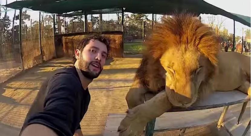 Alex Chacon's selfie with a lion. Alex Chacon