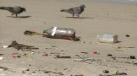 brazil-guanabara-bay-will-be-clean-by-2016-rio-games