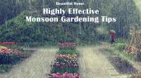 highly-effective-monsoon-gardening-tips
