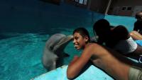 dolphin-therapy-helps-cuban-special-needs-children-in-havana