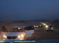 Islamic State militants at the Sinjar border