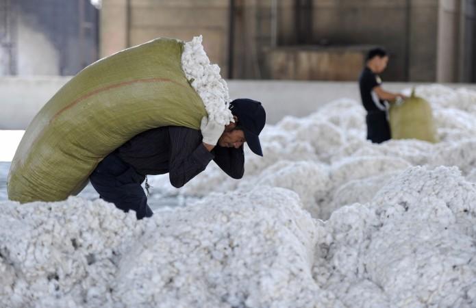 A worker carrying a sack of cotton. Cotton