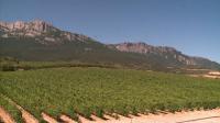 spanish-region-uses-wineries-to-draw-tourists-inland
