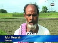 insufficient-rainfall-affects-paddy-farming-in-siliguri