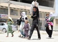 Displaced families from the minority Yazidi sect, fleeing the violence in the Iraqi town of Sinjarl west of Mosul, arrive at Dohuk province, August 4