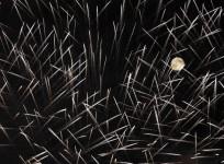 Supermoon