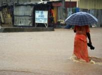 Ebola Flood