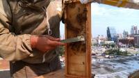 andrew-cot-new-yorks-master-beekeeper