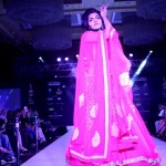 actress-dhansikas-no-retake-act
