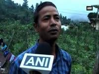 abundant-yield-of-dutch-varieties-encourages-apple-growers-in-uttarakhand