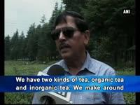 organic-products-in-demand