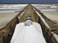 Salt getting loaded into truck in Chennai