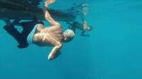 disquieting-times-for-malaysias-fish-listeners