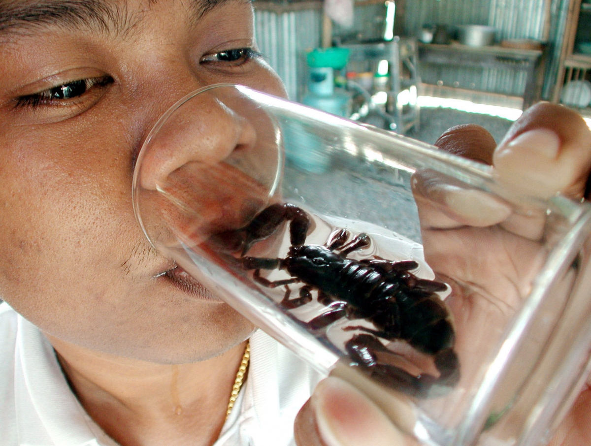 Rice Wine Fermented With Scorpion