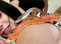 Snake massage
