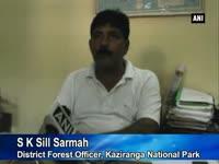 Floods inundate Kaziranga National Park, forest rangers step up security (A representational picture)