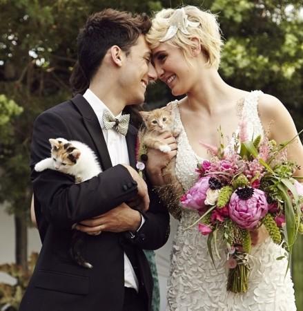 Cat Wedding Cat