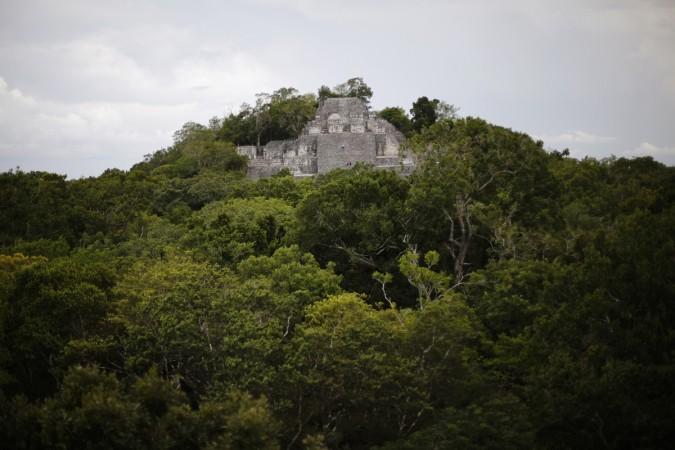 Calakmul, one of the most important cities of Mayan civillization is Mexico's first Mayan city in Mexico