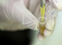 ebola vaccine