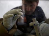 Ebola