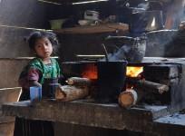 wood stove
