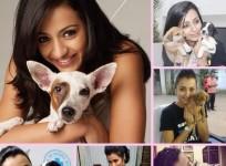 Trisha Krishnan with dogs on Dog Day